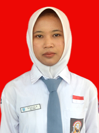 Foto NASILA